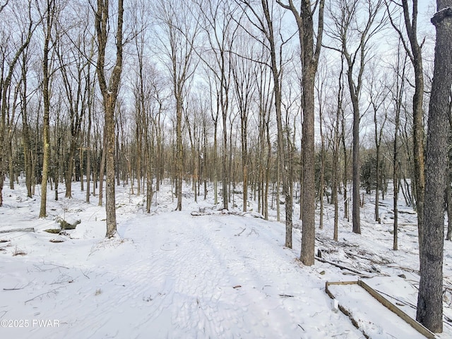 view of snowy landscape