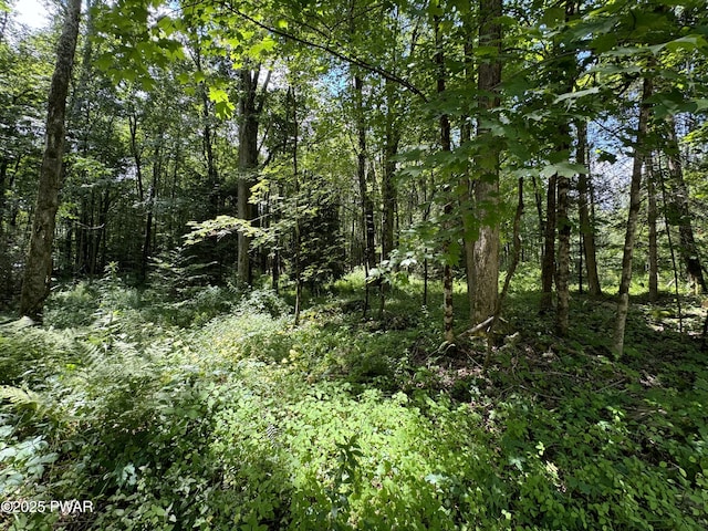 Creamton Dr, Lakewood, PA 18439 - photo 4