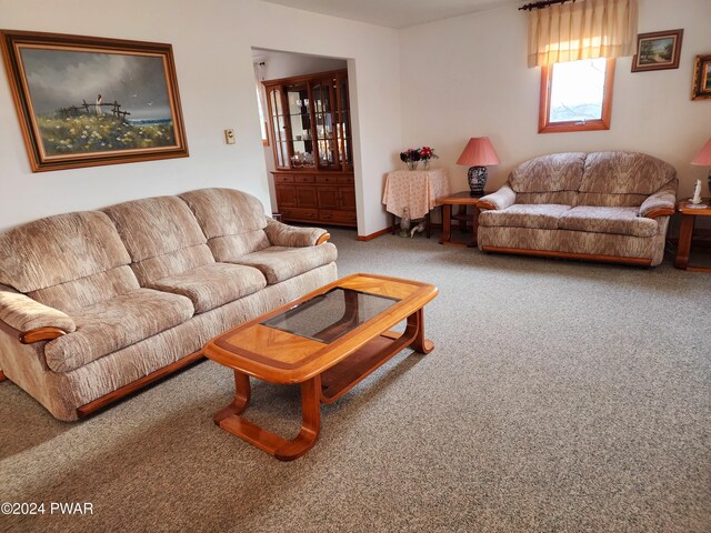 living room featuring carpet floors