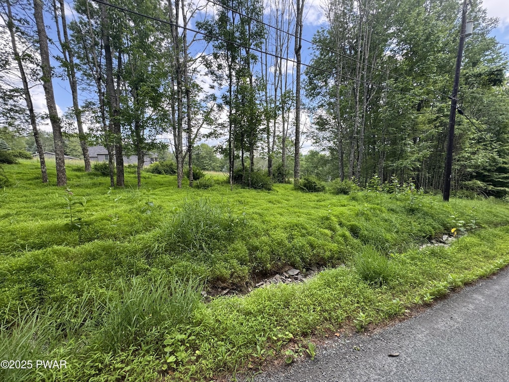 LOT722 Bear Tree Rd, Lake Ariel, PA 18436 - photo 2