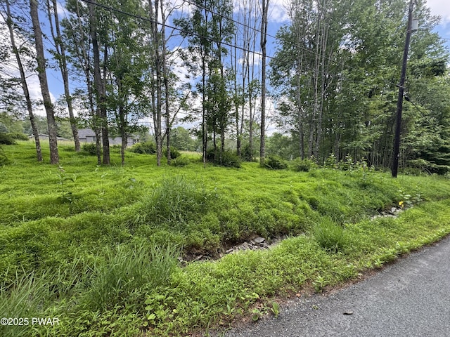 LOT722 Bear Tree Rd, Lake Ariel, PA 18436 - photo 2
