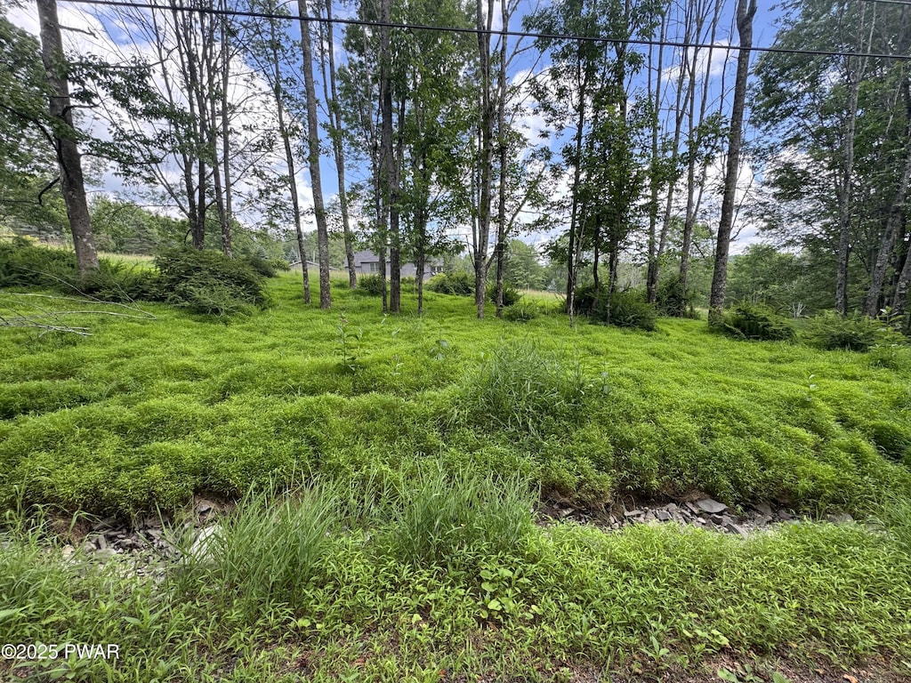 LOT722 Bear Tree Rd, Lake Ariel, PA 18436 - photo 1