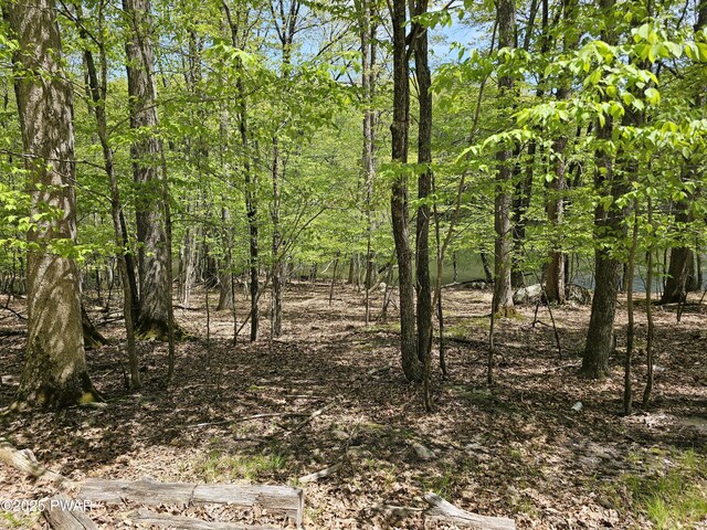 146 Cove Point Cir, Lakeville, PA 18438 - view of nature