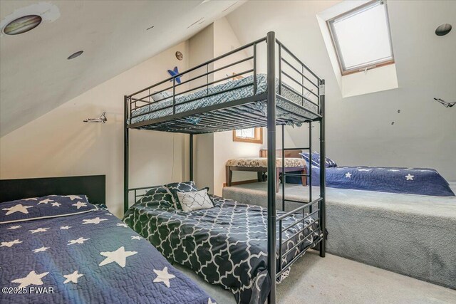 146 Cove Point Cir, Lakeville, PA 18438 - carpeted bedroom with a skylight