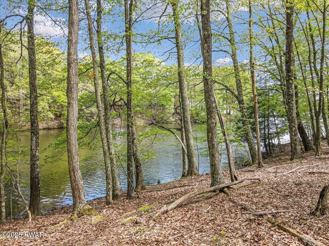 146 Cove Point Cir, Lakeville, PA 18438 - water view