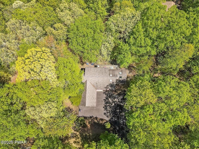146 Cove Point Cir, Lakeville, PA 18438 - view of subject property with a heavily wooded area