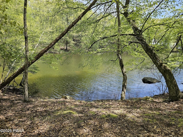 146 Cove Point Cir, Lakeville, PA 18438 - water view with a heavily wooded area