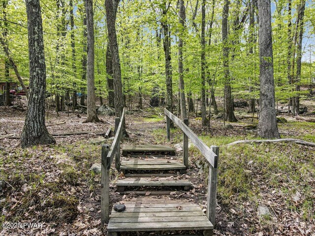 146 Cove Point Cir, Lakeville, PA 18438 - view of yard