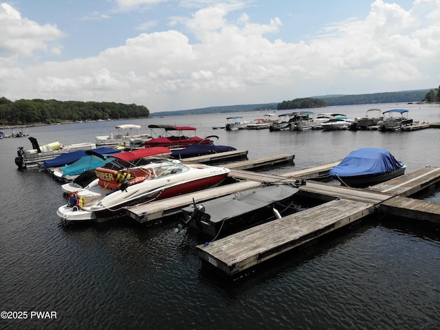146 Cove Point Cir, Lakeville, PA 18438 - dock area featuring a water view