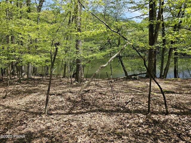 146 Cove Point Cir, Lakeville, PA 18438 - view of local wilderness