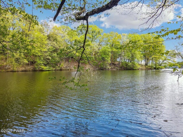 146 Cove Point Cir, Lakeville, PA 18438 - water view