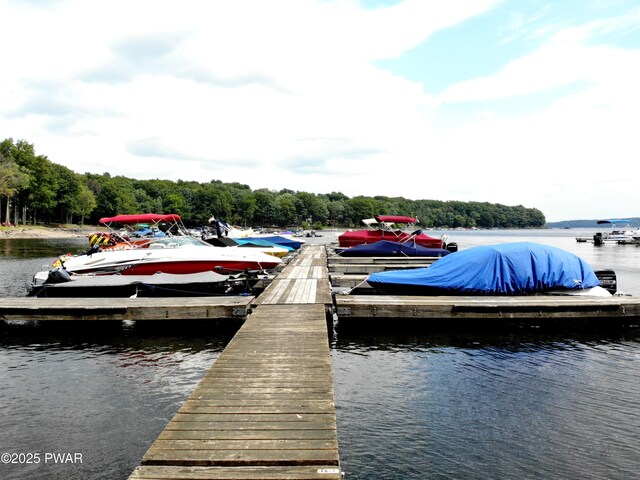 146 Cove Point Cir, Lakeville, PA 18438 - dock area with a water view