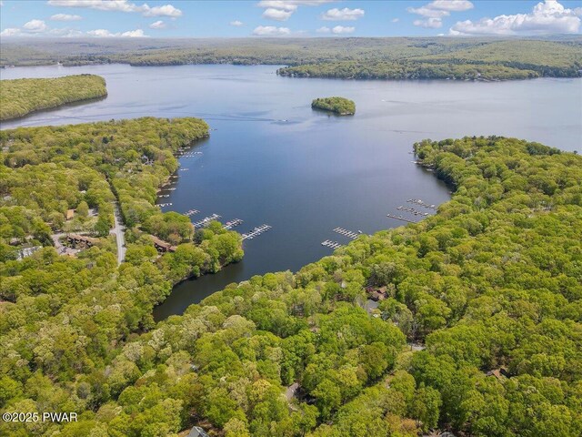 146 Cove Point Cir, Lakeville, PA 18438 - aerial view of a nearby body of water and a heavily wooded area