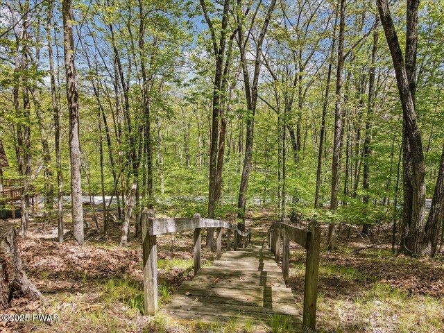 146 Cove Point Cir, Lakeville, PA 18438 - view of home's community featuring a forest view
