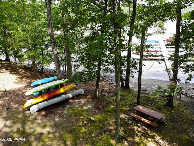 146 Cove Point Cir, Lakeville, PA 18438 - view of property's community