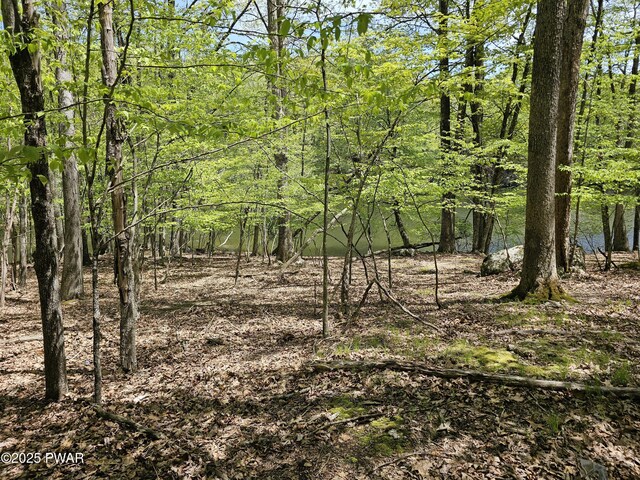 146 Cove Point Cir, Lakeville, PA 18438 - view of local wilderness