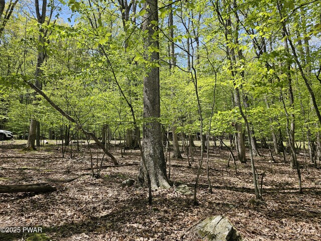 146 Cove Point Cir, Lakeville, PA 18438 - view of nature