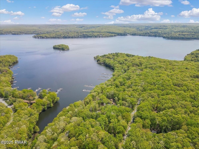146 Cove Point Cir, Lakeville, PA 18438 - drone / aerial view of a heavily wooded area and a large body of water