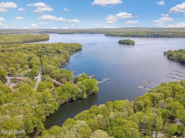 146 Cove Point Cir, Lakeville, PA 18438 - drone / aerial view of a large body of water and a forest
