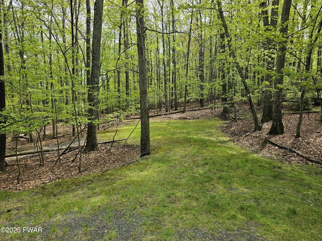 146 Cove Point Cir, Lakeville, PA 18438 - view of green lawn