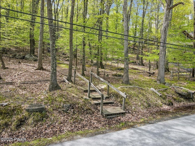 146 Cove Point Cir, Lakeville, PA 18438 - view of local wilderness