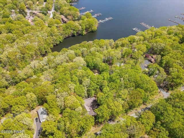 146 Cove Point Cir, Lakeville, PA 18438 - aerial view of a nearby body of water and a forest