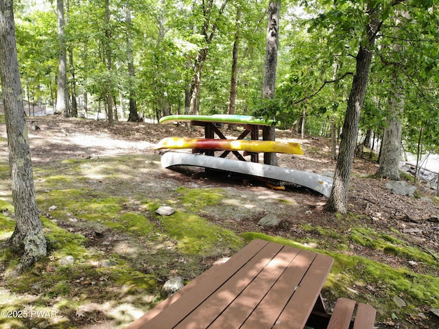 146 Cove Point Cir, Lakeville, PA 18438 - view of yard