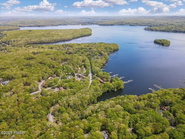 146 Cove Point Cir, Lakeville, PA 18438 - drone / aerial view of a large body of water and a heavily wooded area