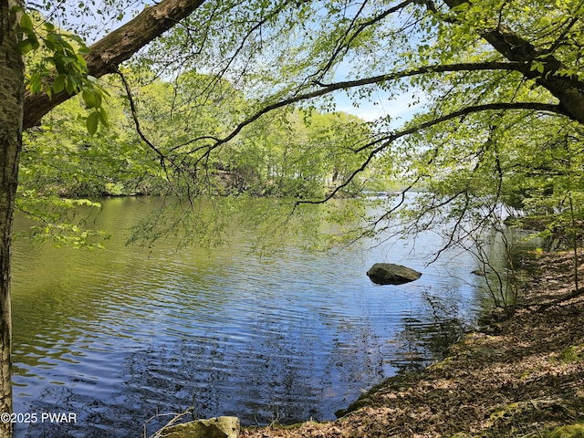 146 Cove Point Cir, Lakeville, PA 18438 - water view