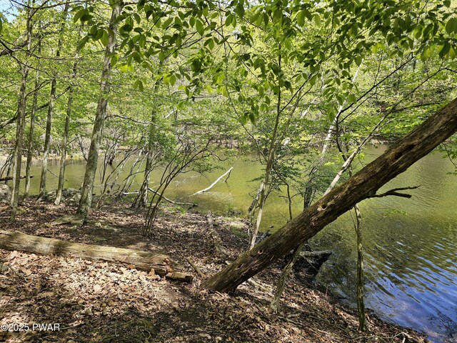 146 Cove Point Cir, Lakeville, PA 18438 - view of undeveloped land