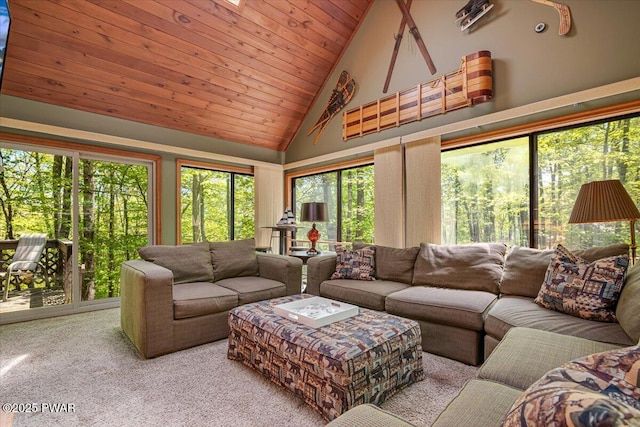 146 Cove Point Cir, Lakeville, PA 18438 - living area with carpet flooring, high vaulted ceiling, and wooden ceiling