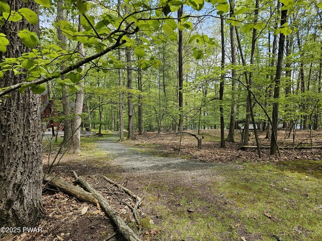 146 Cove Point Cir, Lakeville, PA 18438 - view of local wilderness