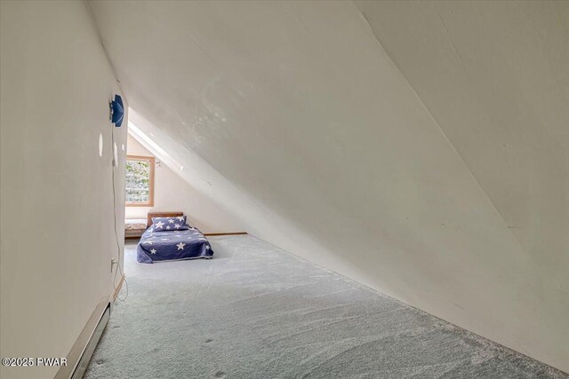 146 Cove Point Cir, Lakeville, PA 18438 - additional living space featuring vaulted ceiling and carpet