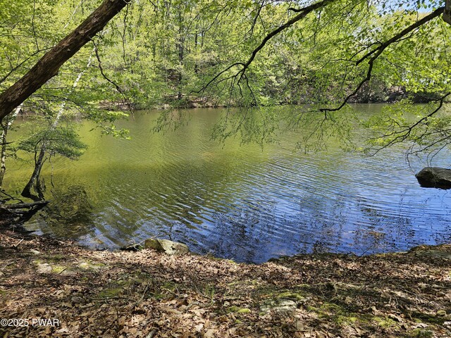 146 Cove Point Cir, Lakeville, PA 18438 - water view with a heavily wooded area