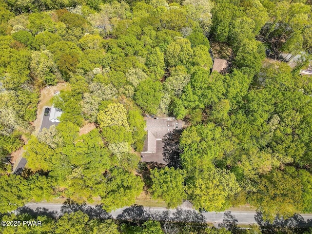 146 Cove Point Cir, Lakeville, PA 18438 - drone / aerial view of a heavily wooded area