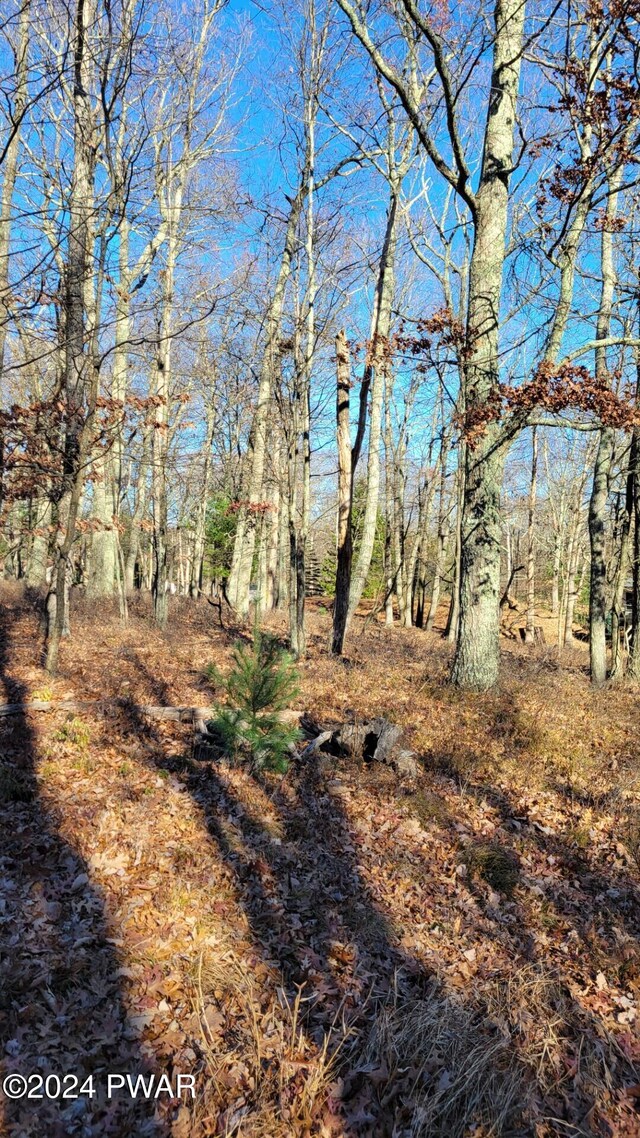 LOT9 Slate Ct, Milford, PA 18337 - photo 5