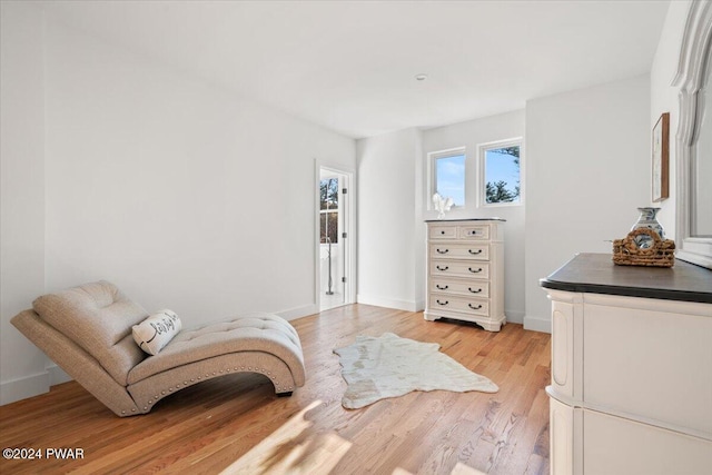 sitting room featuring light hardwood / wood-style floors