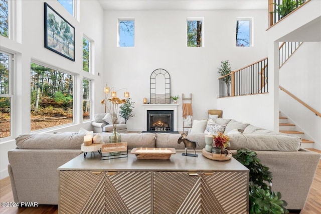 living room with a high ceiling and light hardwood / wood-style flooring