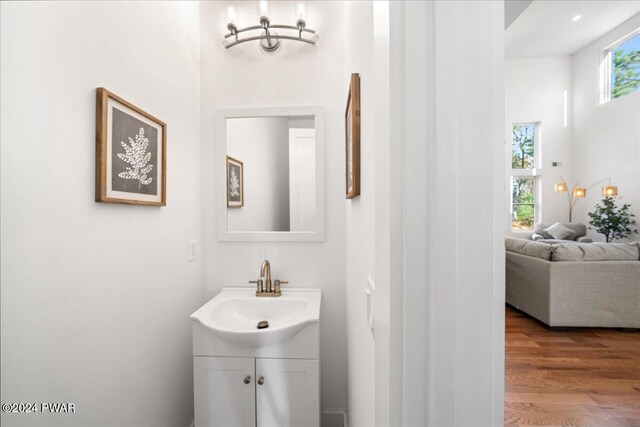 bathroom featuring hardwood / wood-style floors, vanity, and a healthy amount of sunlight