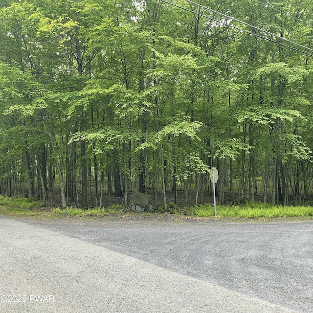 105 Duffys Dr, Dingmans Ferry, PA 18328