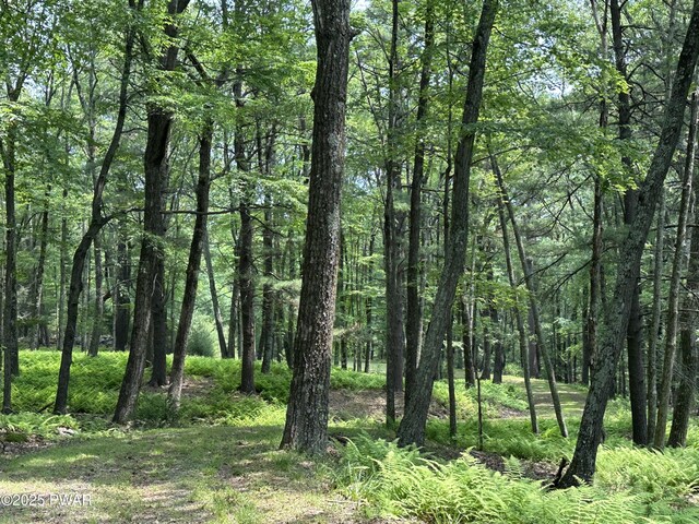 LOT14 Sawkill Dr, Milford, PA 18337 - photo 5