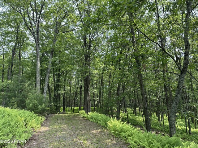 LOT14 Sawkill Dr, Milford, PA 18337 - photo 4