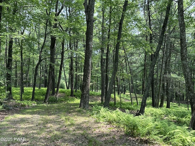 LOT14 Sawkill Dr, Milford, PA 18337 - photo 2