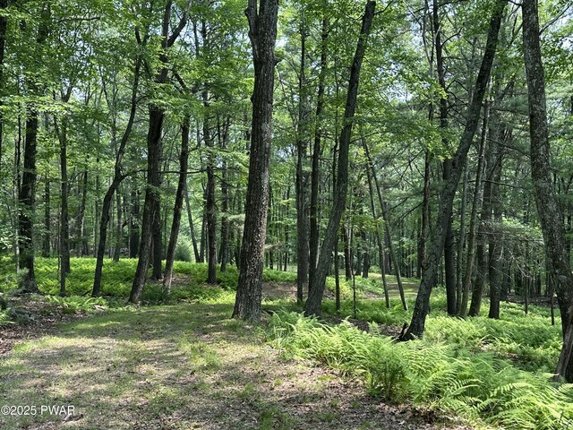 LOT14 Sawkill Dr, Milford, PA 18337 - photo 6