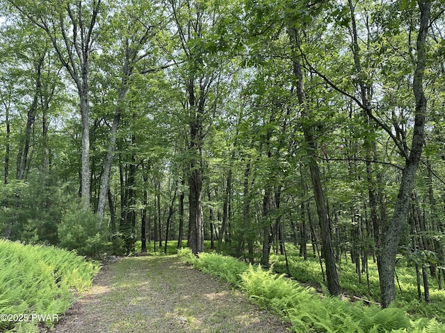 LOT14 Sawkill Dr, Milford, PA 18337 - photo 1