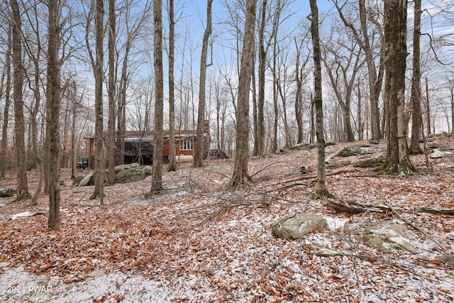 view of yard layered in snow