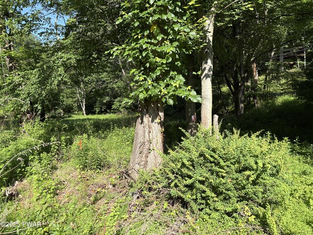 LOT3 Mountain Ave, Matamoras, PA 18336