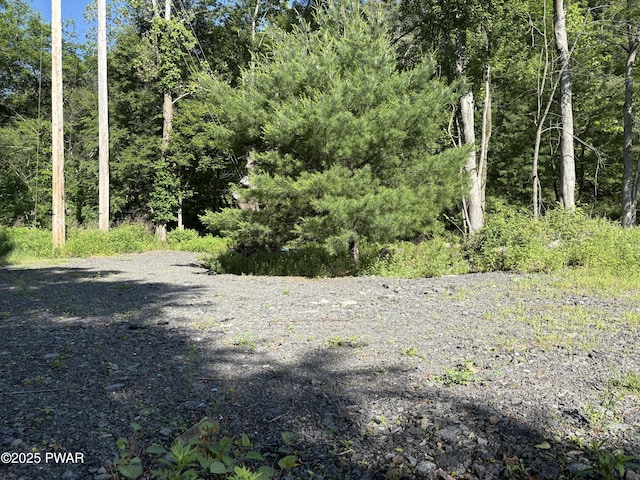 LOT3 Mountain Ave, Matamoras, PA 18336