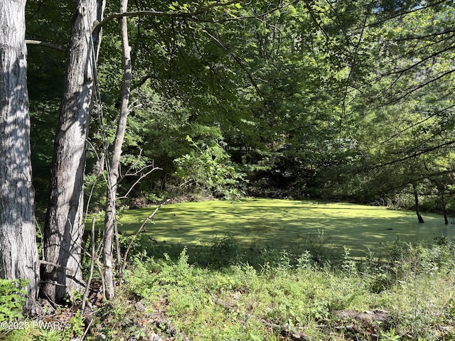 LOT3 Mountain Ave, Matamoras, PA 18336