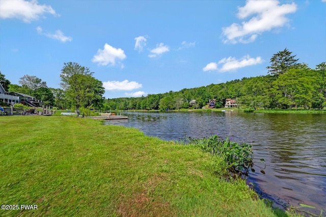 29 Tanglewood Ln, Lake Ariel, PA 18436 - water view with a forest